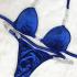 [POSINGWEAR] Blue Velvet Competition Bikini