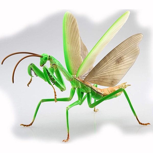 [직수입 정품 당일발송] 후지미모형 자유연구 23 생물편 곤충 왕사마귀 피규어