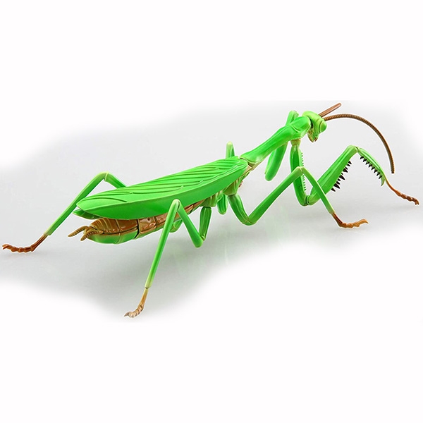 [직수입 정품 당일발송] 후지미모형 자유연구 23 생물편 곤충 왕사마귀 피규어